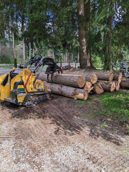 Wildwood Tree Care