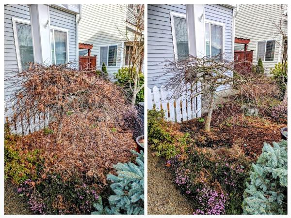 Wildwood Tree Care