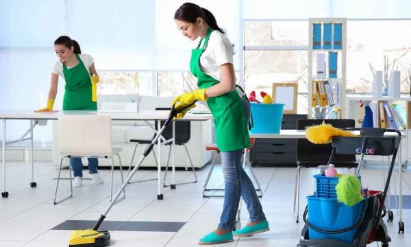 Meticulosity Cleaning