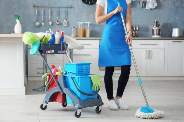 Meticulosity Cleaning
