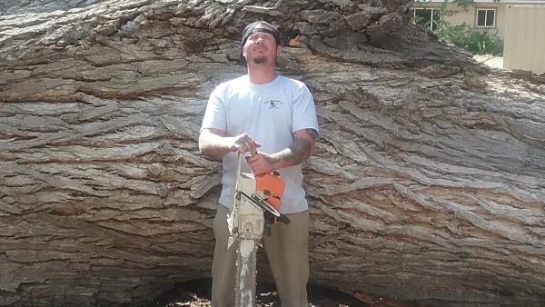 Campbells Tree and Stump Service LLC