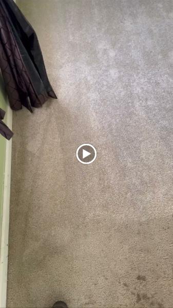 Steaming Red's Carpet & Upholstery Cleaning
