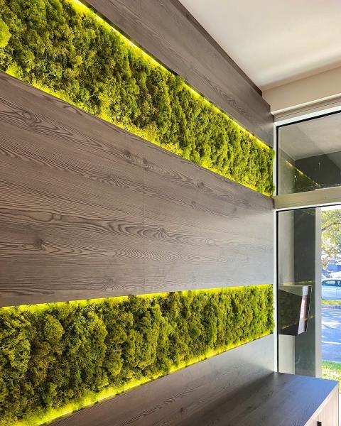 Verde Vertical INC