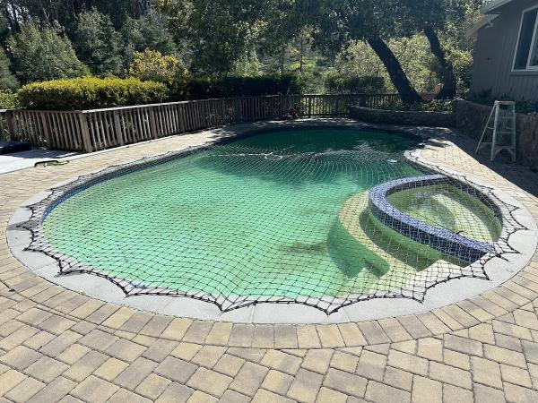 Always Safe Pool Safety