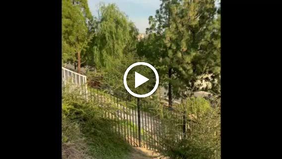 Calvet Fence