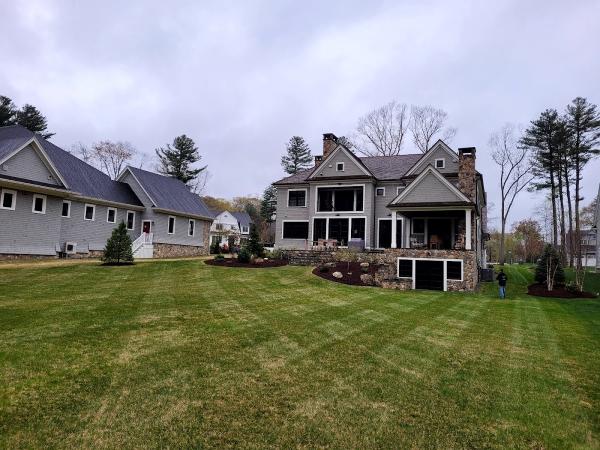 Junior Landscaping