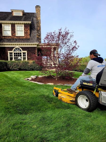 Junior Landscaping