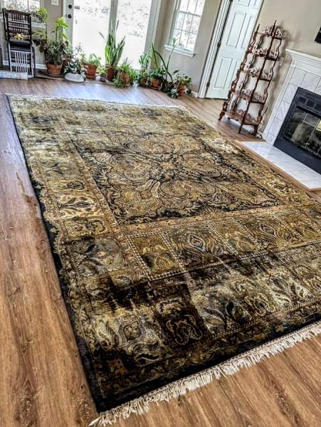 Elite Carpet & Upholstery Cleaning