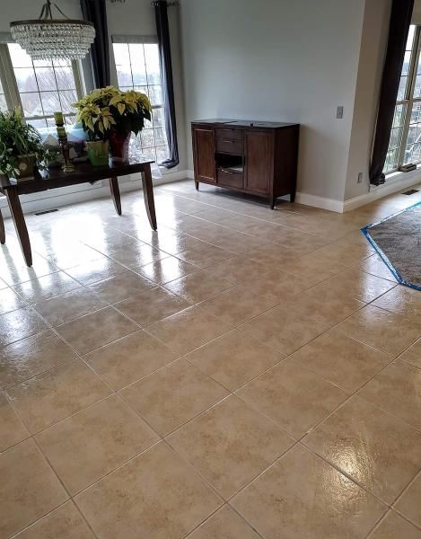 Elite Carpet & Upholstery Cleaning