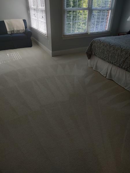 Elite Carpet & Upholstery Cleaning