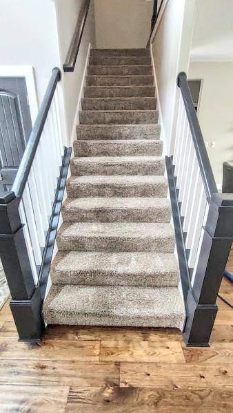 Elite Carpet & Upholstery Cleaning