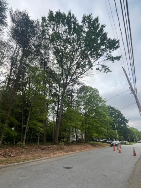 Ingram's Tree Service