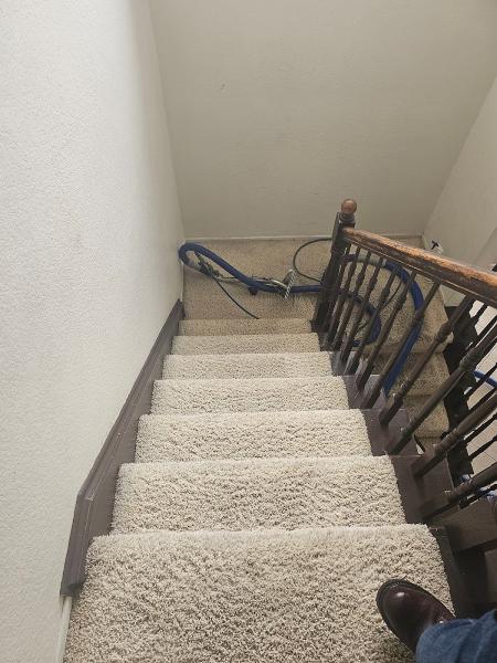 Aggressive Carpet Cleaning