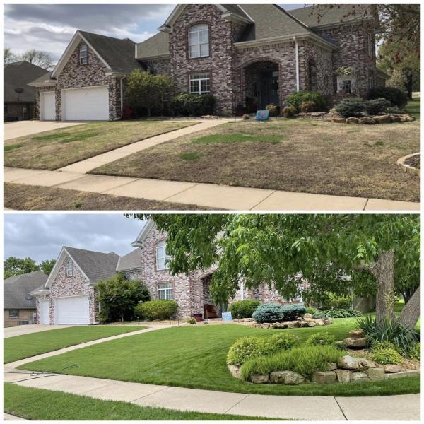 BLC Pest & Lawn