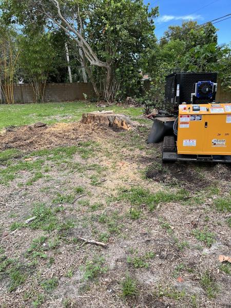 Lawn & Order