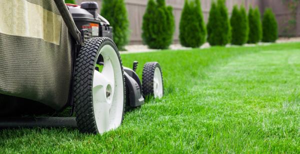 Tee Time Lawn Care