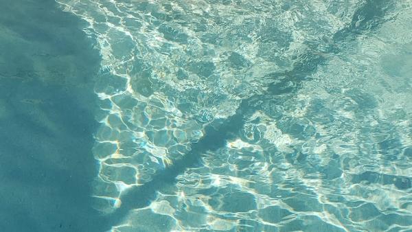 Life Aquatic Pool Service