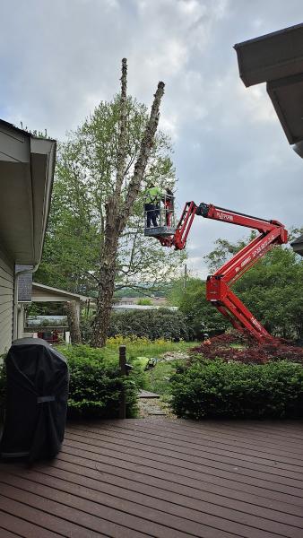 North Alabama Tree Service