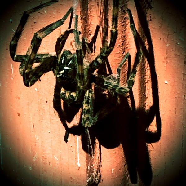 Kreshco Pest Control