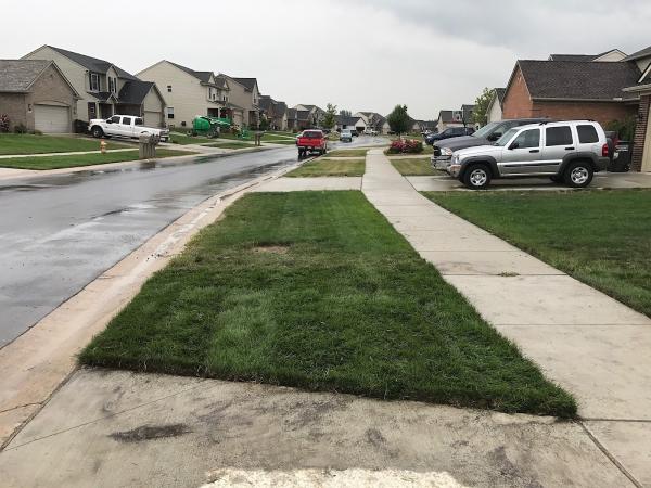 Hillcrest Sod Farms
