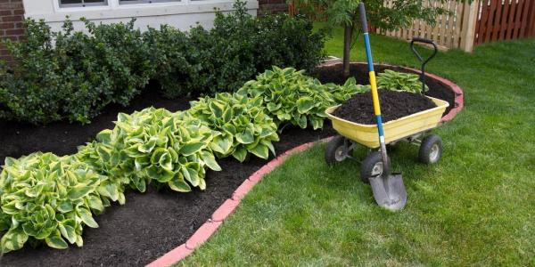 Albert's Landscaping LLC