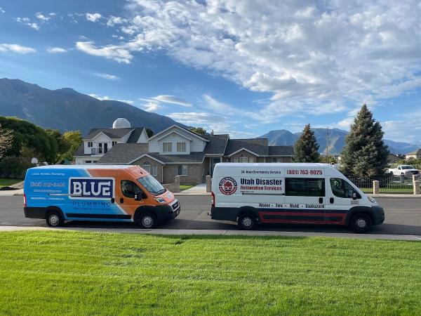Blue Plumbing and Drain Cleaning
