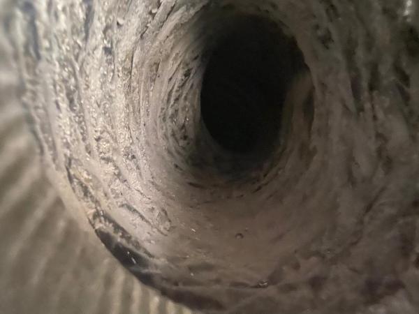 Air Duct Experts