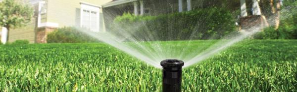 Talbert Irrigation