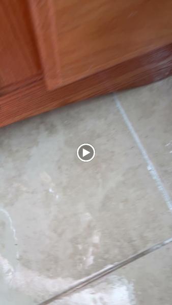 Innovative Carpet Cleaning