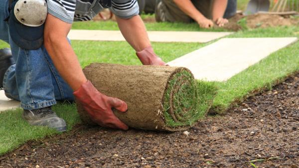 Commercial Lawn Management
