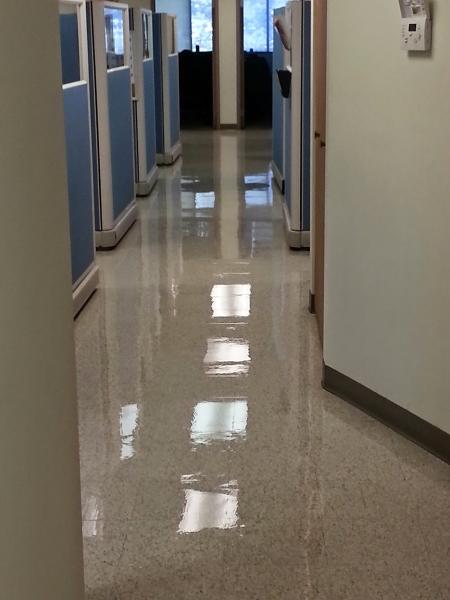 Augies Building Services