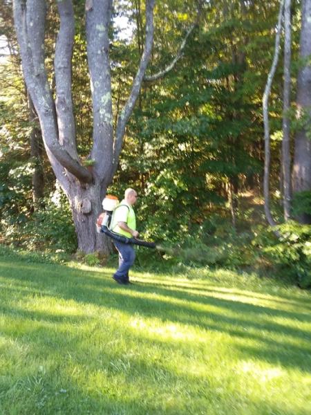 Top Leaf Tree LLC