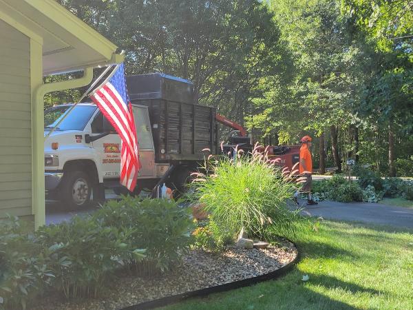 Northeast Tree Care