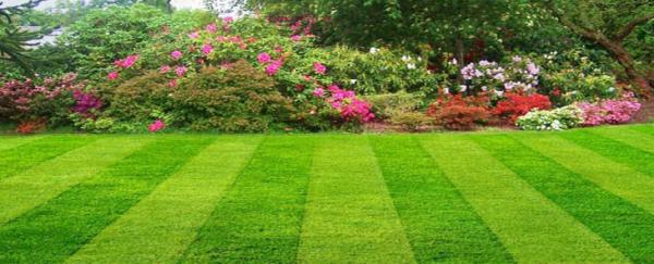 Ramos Lawn Service Inc