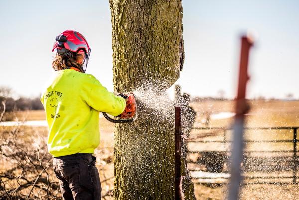 Onsite Tree Services
