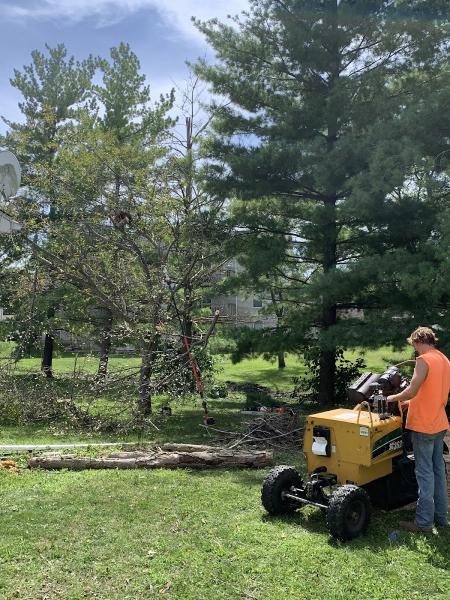 To the Top Tree Service