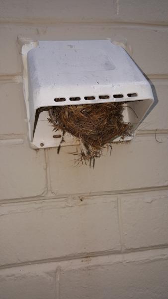 Premium Duct Cleaning
