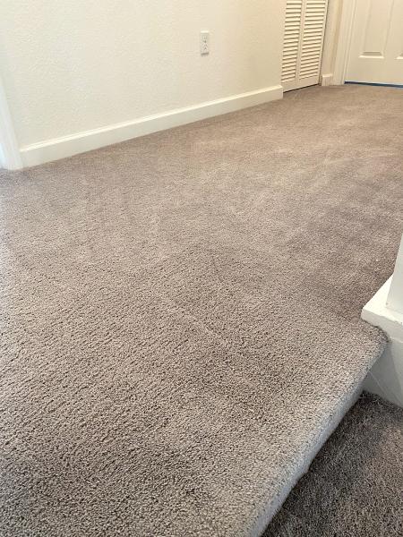 Fleming's Rug Carpet Tile & Upholstery Cleaning