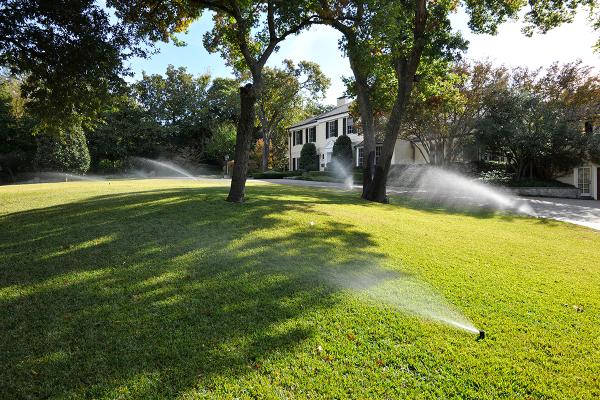 Andy's Sprinkler