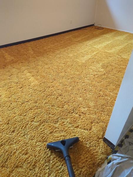 Top Notch Carpet Cleaning