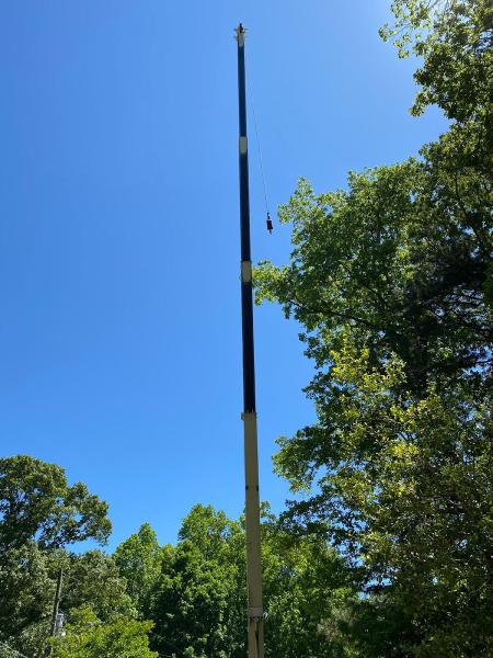 Vilchis Tree Service