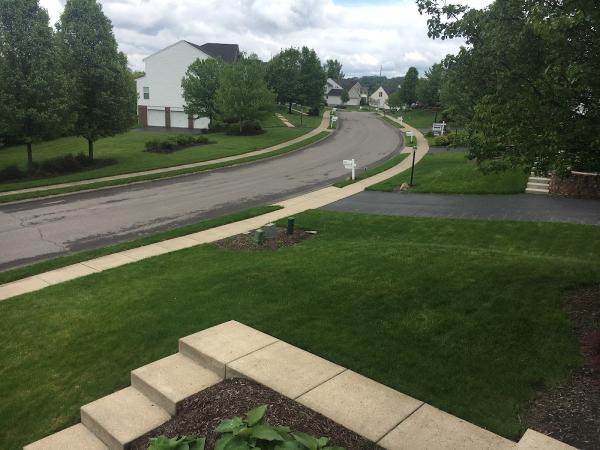 Shamrock Lawn Maintenance
