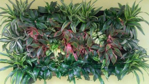 South Florida Eco Friendly Landscapes