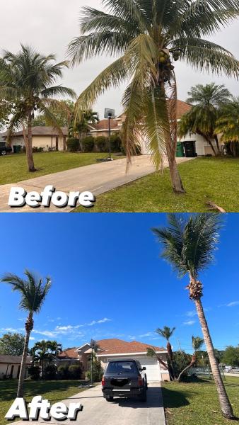 Greenhouse Lawn Services