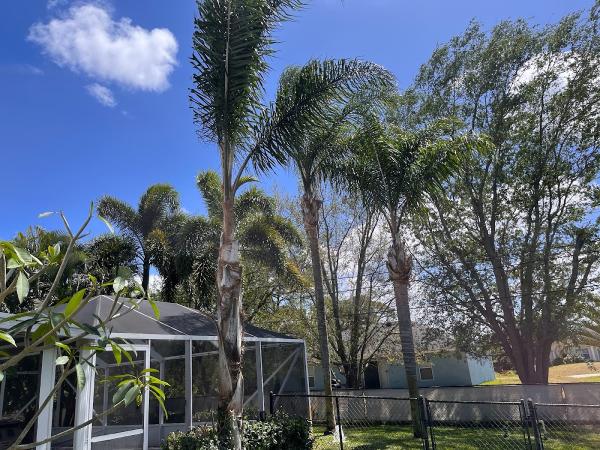 Greenhouse Lawn Services
