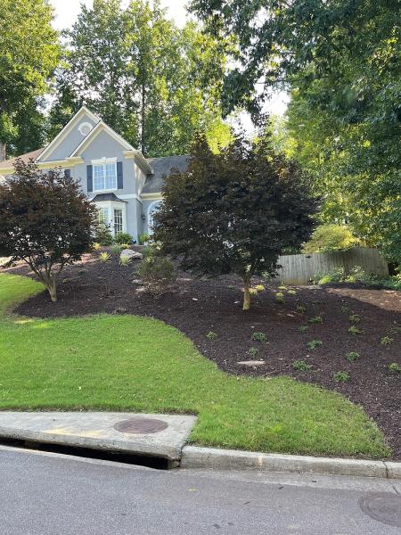 Service First Landscapes