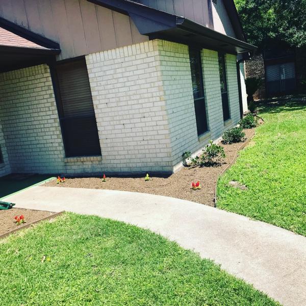 Landscaping Ninjas