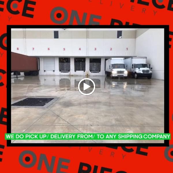 One Piece Delivery