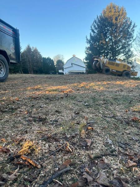 A.b.e. Lawn & Tree LLC