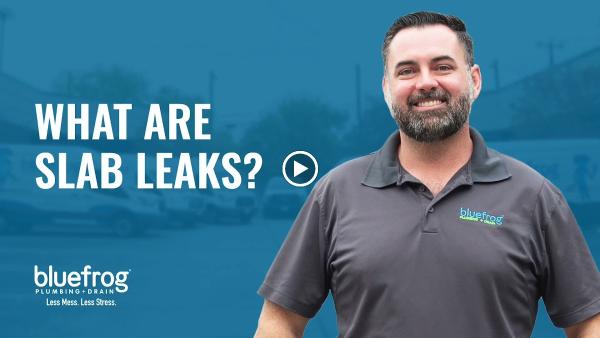 Bluefrog Plumbing + Drain